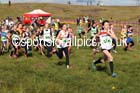Girls under-13s, North East Harrier League, Cramlington. Photo: David T. Hewitson/Sports for All Pics